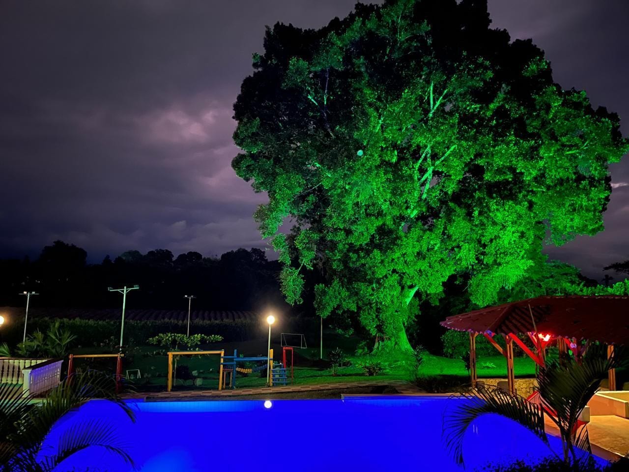 A nighttime outdoor area with a swimming pool, a large tree illuminated in green, and a gazebo.