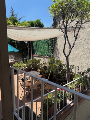 Outdoor dining - The 222 (Mexico City)