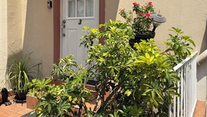 A potted plant in the foreground, a door with a number, and a small outdoor area with a railing. - The 222 (Mexico City)