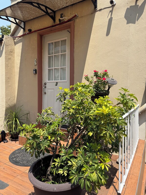A potted plant in the foreground, a door with a number, and a small outdoor area with a railing. - The 222 (Mexico City)