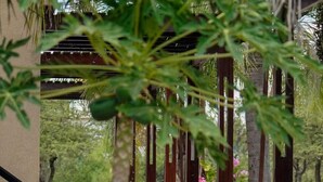 A covered outdoor seating area with a pergola structure, potted plants, and a statue. - Complejo Anjana (Federación)