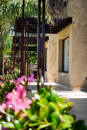 A modern building with a covered outdoor area, a pergola, and lush greenery.