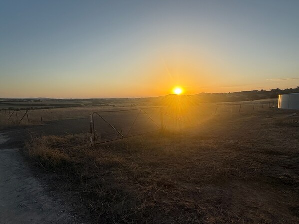 Miscellaneous - Peaceful Farm Stay - Kingsdale Park Luxury Cabins (Kingsdale)