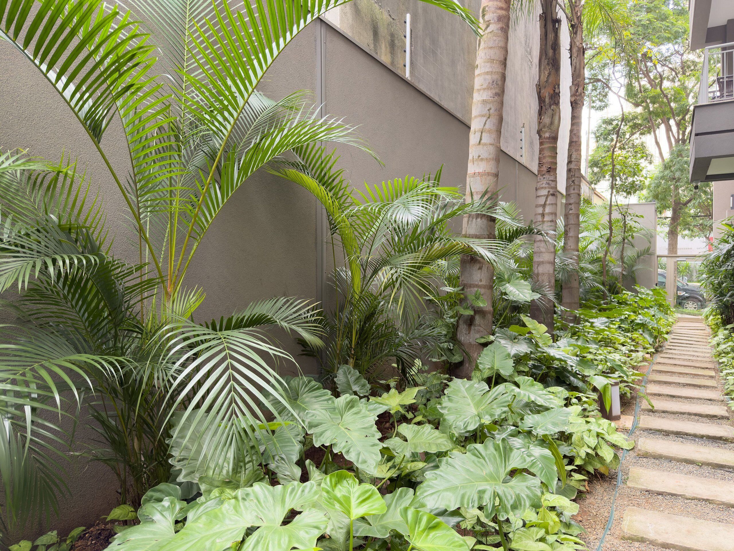 Appartement Confort | Terrain de l’hébergement 