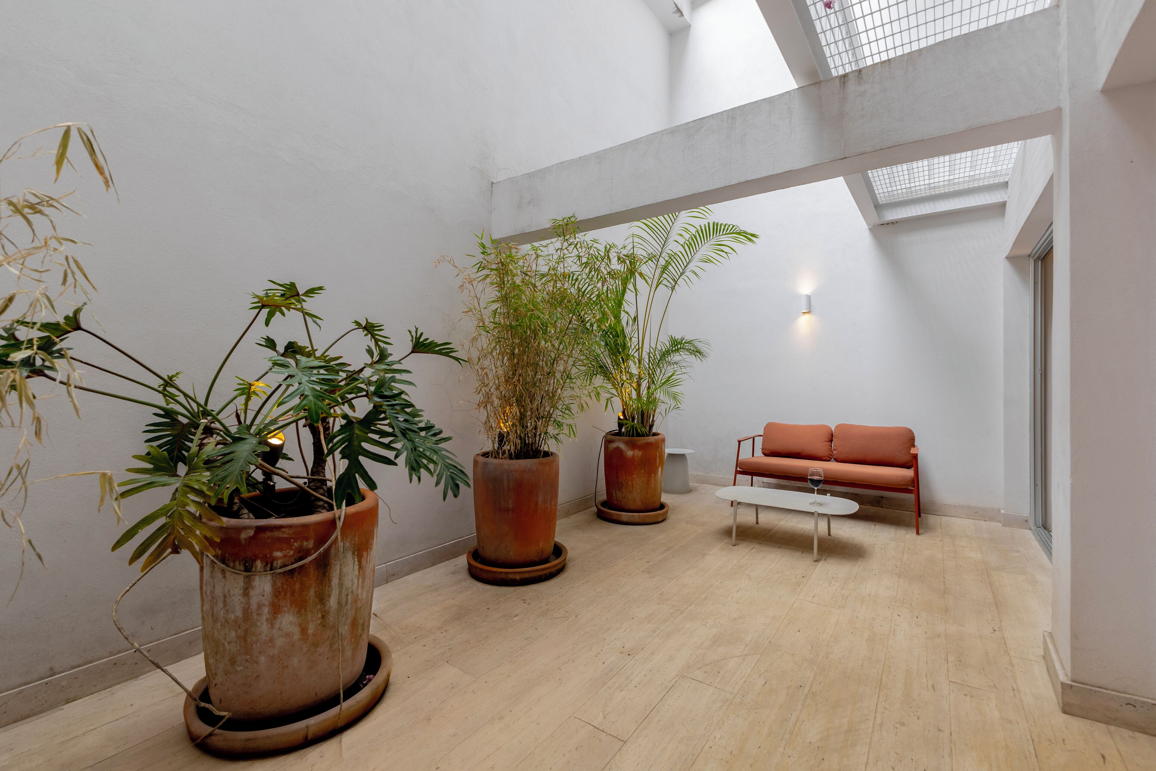 Estudio de lujo, patio | Terraza o patio