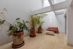 A spacious interior with large potted plants, a modern sofa, and a small table.