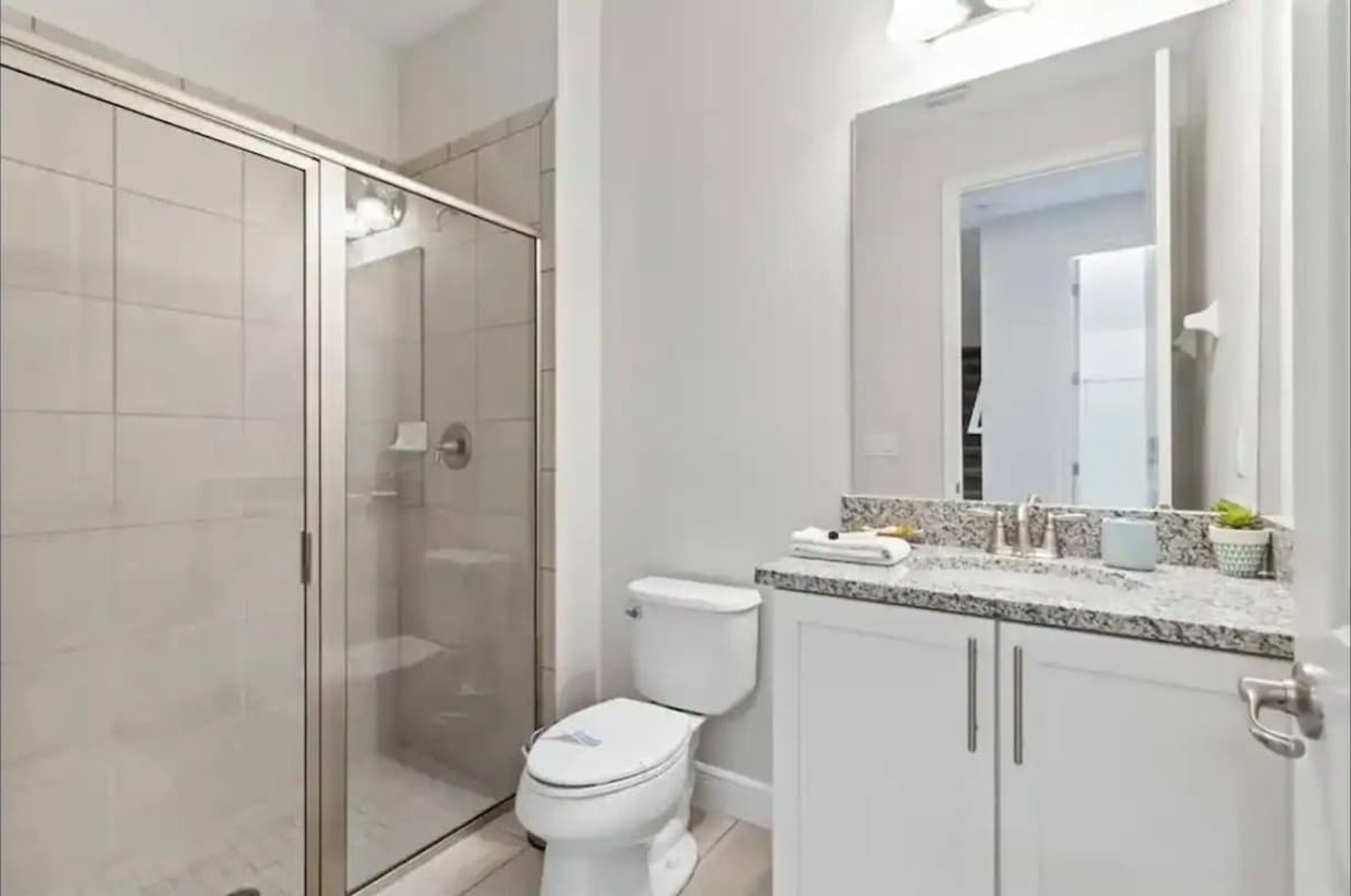 A bathroom with a glass-enclosed shower, a toilet, and a vanity with a mirror.