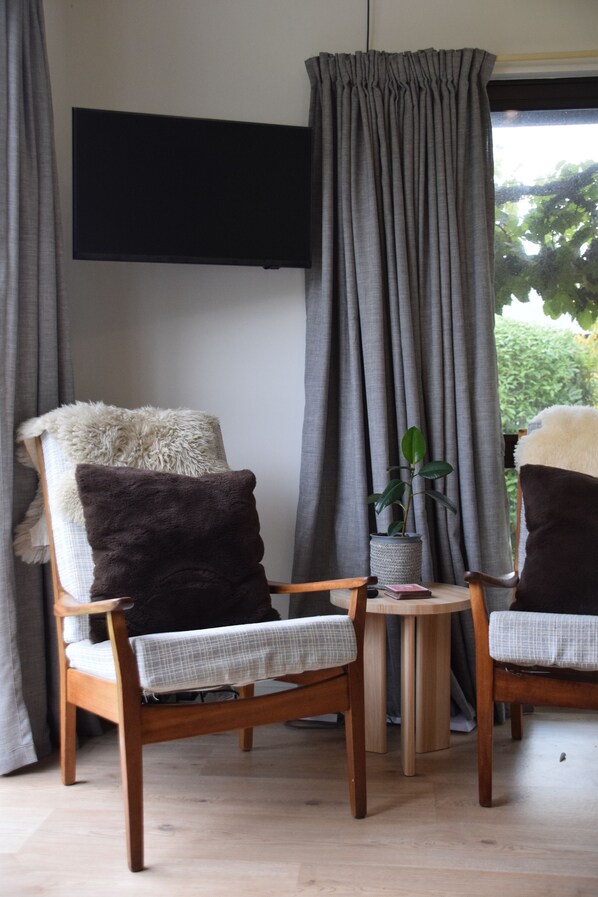 Una habitación con una televisión de pantalla plana montada en la pared, dos sillas de madera con cojines, una pequeña mesa redonda con una planta y cortinas grises.