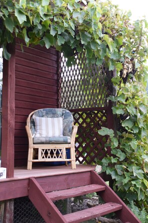 Terrace/patio - Classic Kiwi Bach + Sleepout - 100m to Purau beach (Purau)