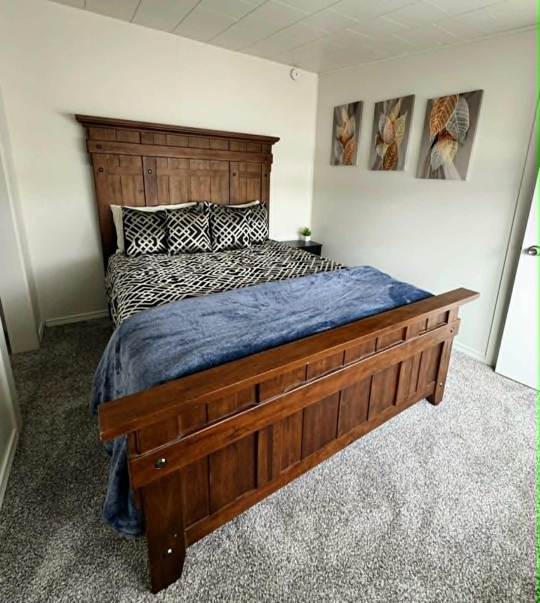 Dúplex Comfort, vistes a la muntanya