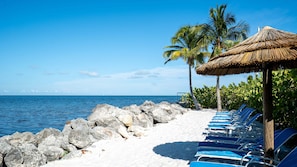 Ein Strand mit einer Reihe blauer Liegestühle, einem Reetdachschirm und Palmen.