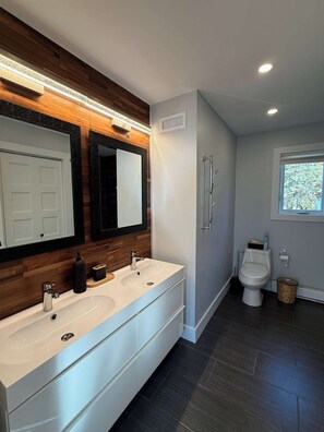 Hair dryer, towels, soap, toilet paper