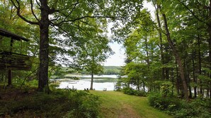 A forested area with a path leading to a lake, surrounded by trees and greenery. - Cozy Adirondack Cabin-Lakeside Resort Camp 1 (Olmstedville)