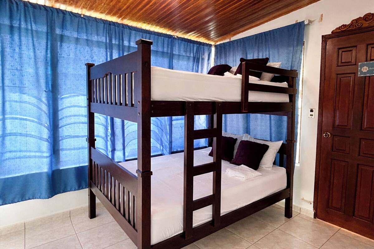 이코노미 공용 도미토리, 남녀공용 도미토리, 공용 욕실, 수영장 전망