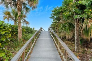 A wooden boardwalk leading through a tropical garden with various plants and trees. - Oceanfront Condo With Private Balcony & Heated Pool! 🏝️☀️ (Cape Canaveral)