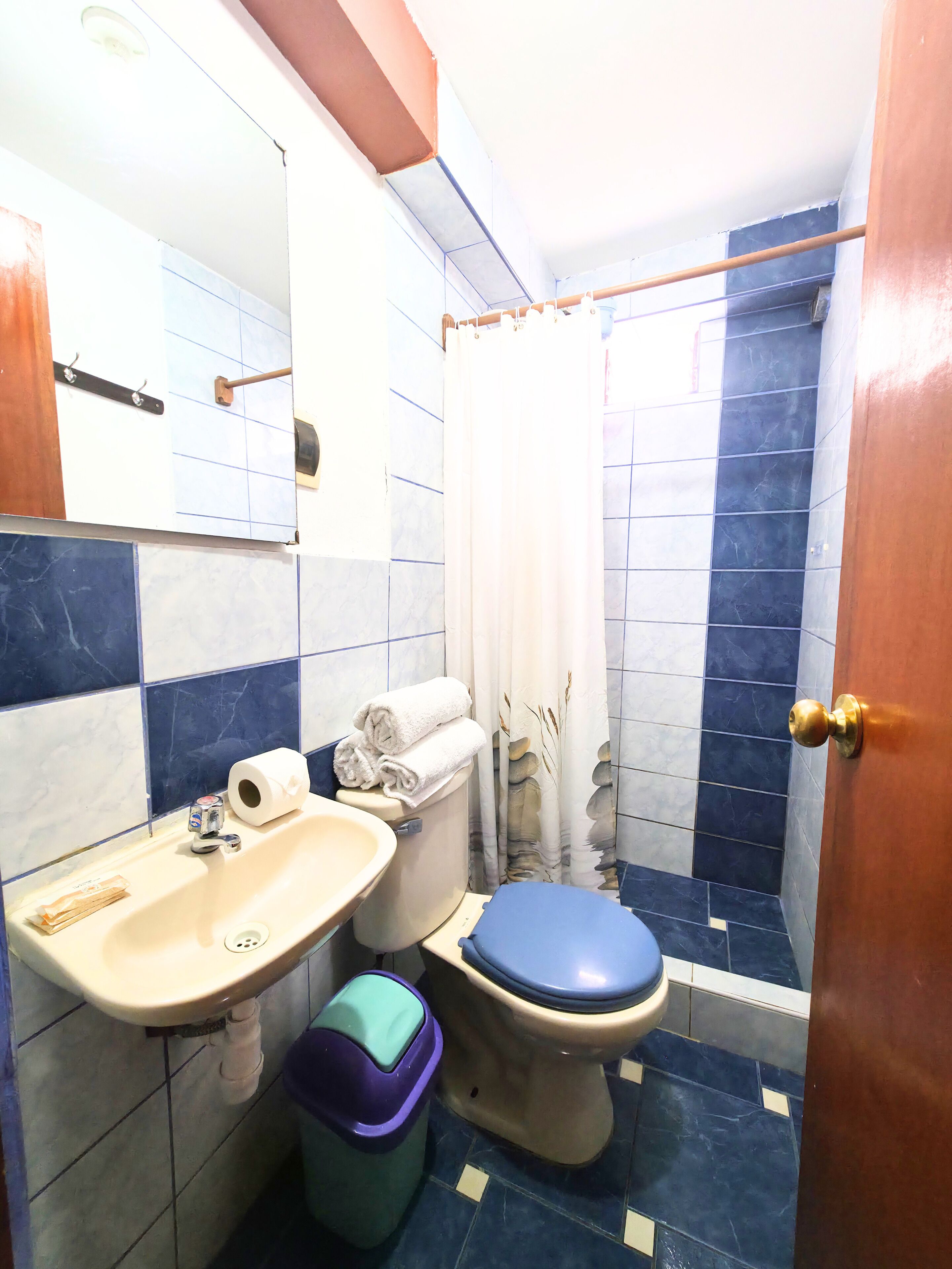 A bathroom with a sink, toilet, and shower curtain.