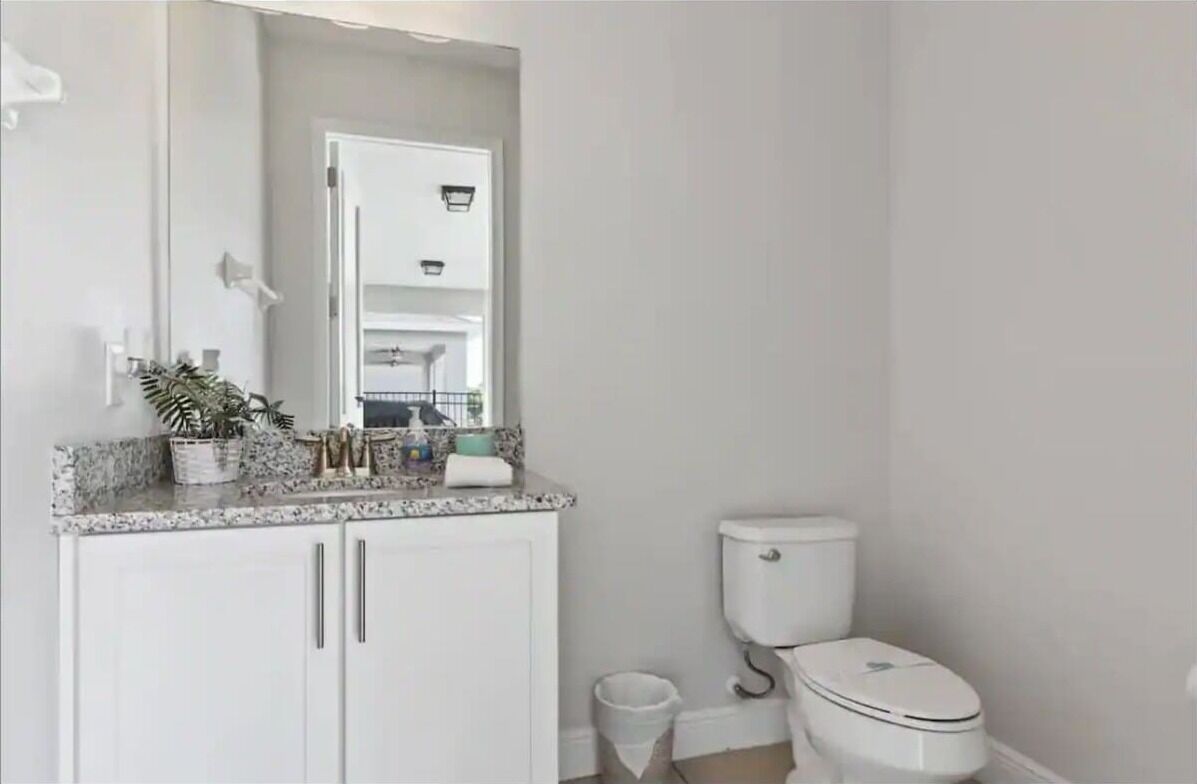 A bathroom with a toilet, a sink, a mirror, and a potted plant.