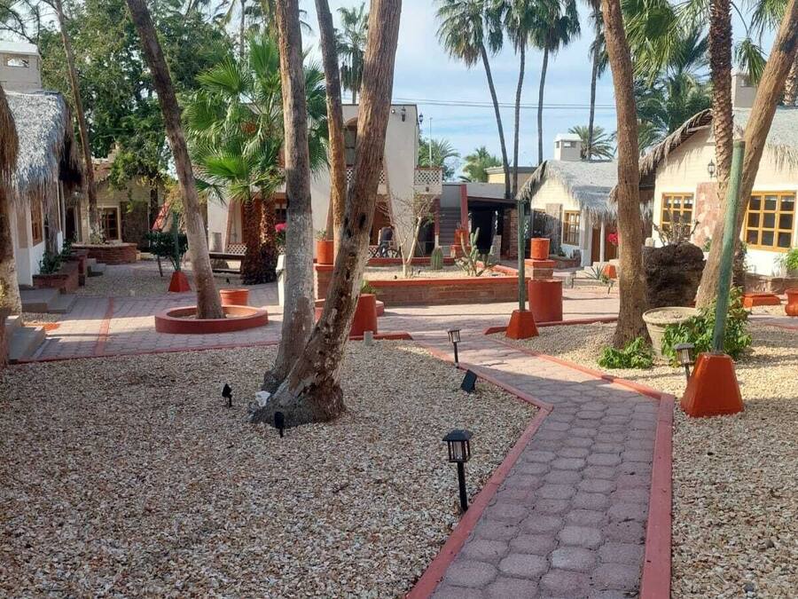 Jardim