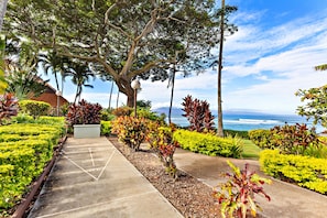 A paved pathway lined with various plants and trees, leading towards a view of the ocean. - New Listing! Modern Oceanview Escape (Honokowai)