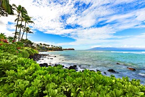 Beach - New Listing! Modern Oceanview Escape (Honokowai)