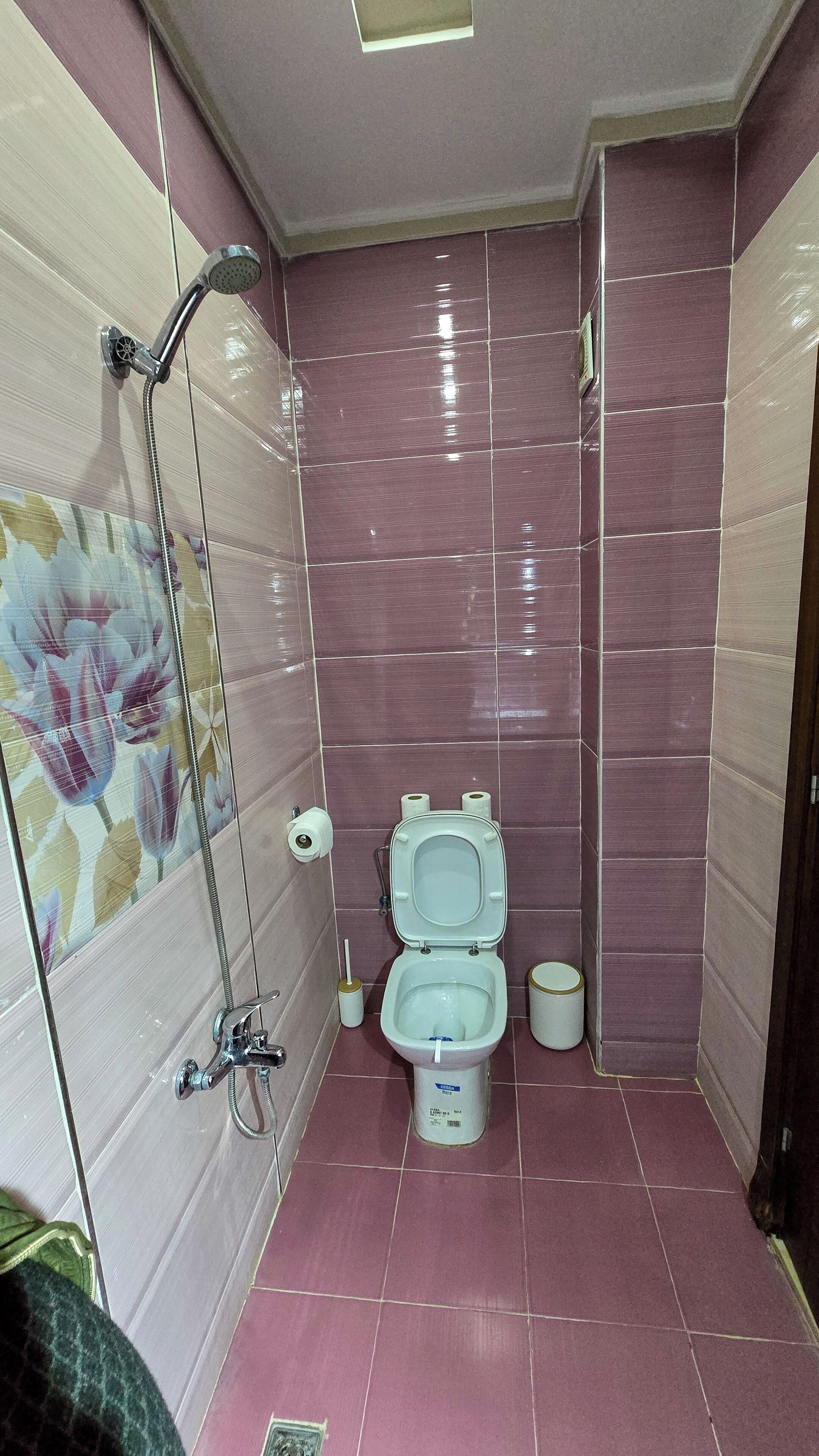 A small bathroom with a toilet, a shower, and a toilet paper holder.