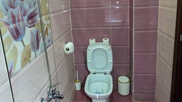 A small bathroom with a toilet, a shower, and a toilet paper holder.
