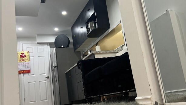 Une pièce avec un plancher en bois, un tapis en fourrure, une porte blanche et un meuble noir.