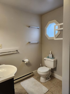 Bathroom - Lovely 1-bedroom studio apartment with AC in peaceful Boalsburg. (Boalsburg)