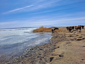 Casa familiar, patio, vistas al lago | Playa