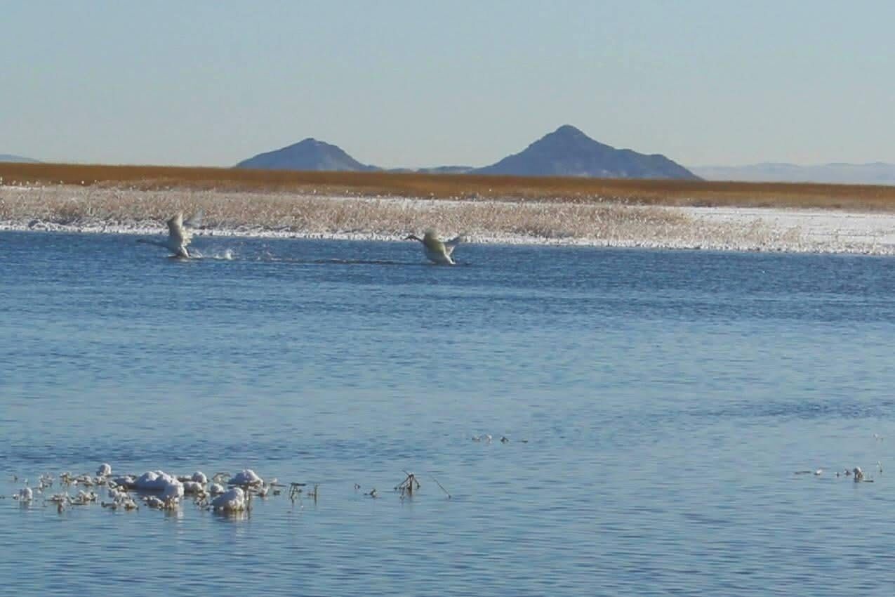 Familiehus - terrasse - søudsigt | Diverse