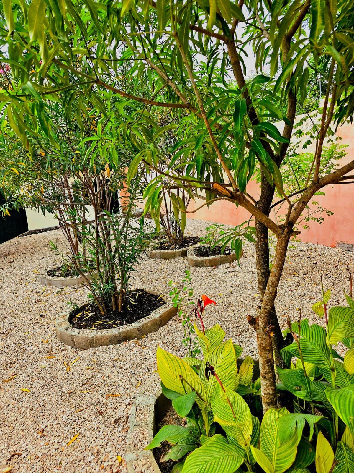 Ein Garten mit mehreren Kübelpflanzen und Bäumen, die in einem Kreis auf einem Kiesweg angeordnet sind.