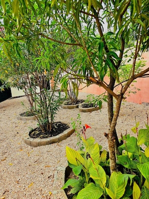 A garden with multiple potted plants and trees, arranged in a circular pattern on a gravel surface.