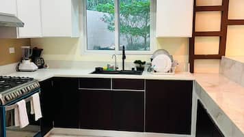 A modern kitchen with a gas stove, a sink, and a window overlooking greenery.