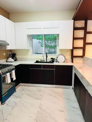 A modern kitchen with a gas stove, a sink, and a window overlooking greenery.