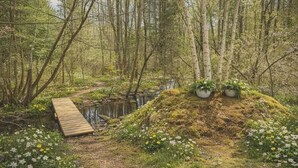Ein bewaldetes Gebiet mit einer Holzbrücke über einem Bach, umgeben von viel Grün und Blumen.