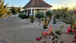 A thatched-roof building with a sandy courtyard and various plants.