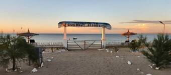 Oceanfront Family Bungalow 101 (2 beds per room)