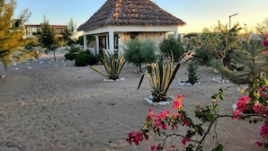 A thatched-roof building with a sandy courtyard and various plants.