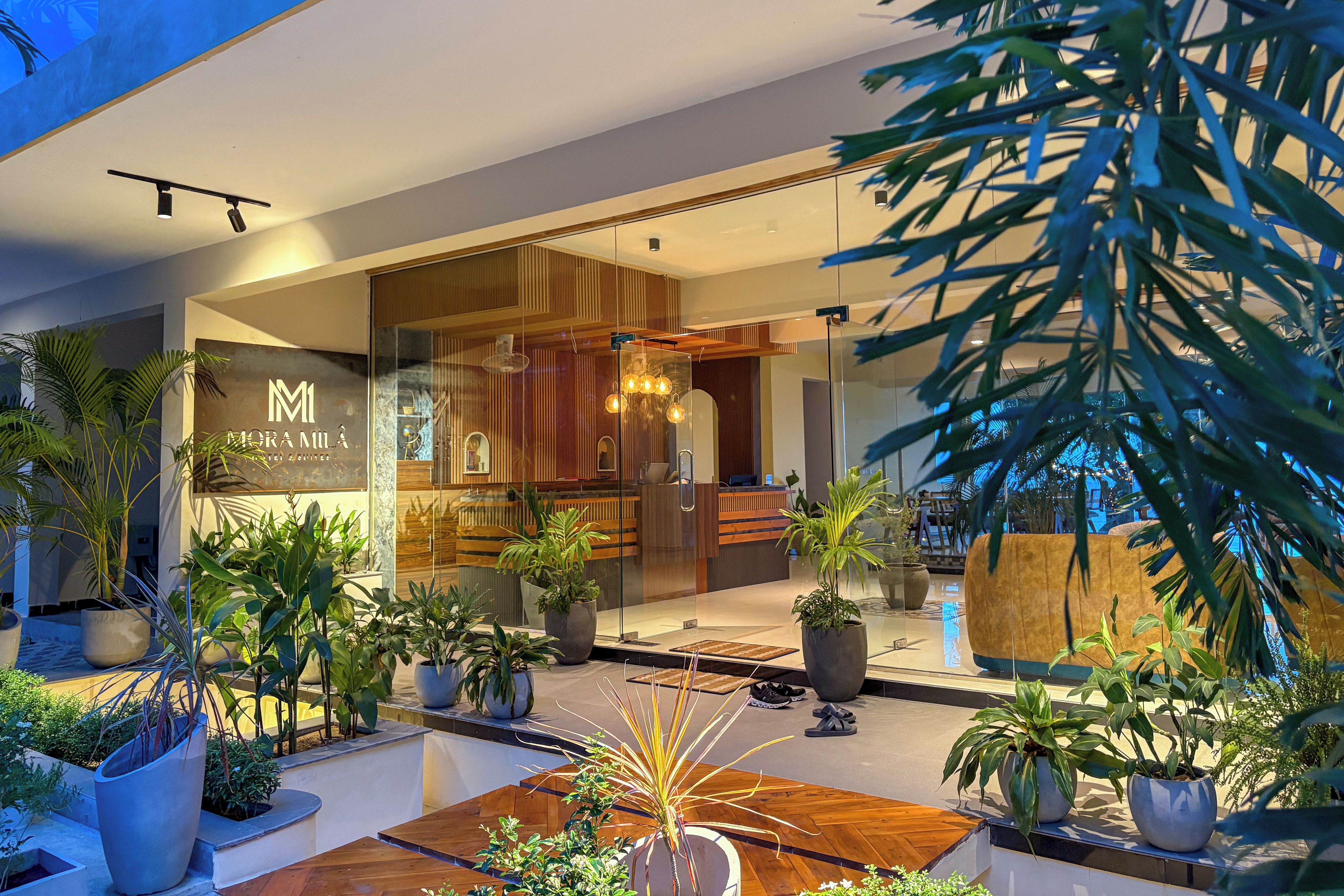 A modern hotel lobby with a reception desk, seating area, and potted plants.