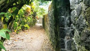 Un sentiero di pietra stretto, affiancato da vegetazione rigogliosa e un muro in pietra.