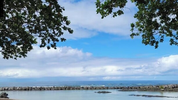 Vista sulla costa con un litorale roccioso, acqua calma e una zona erbosa con una tavola da surf.