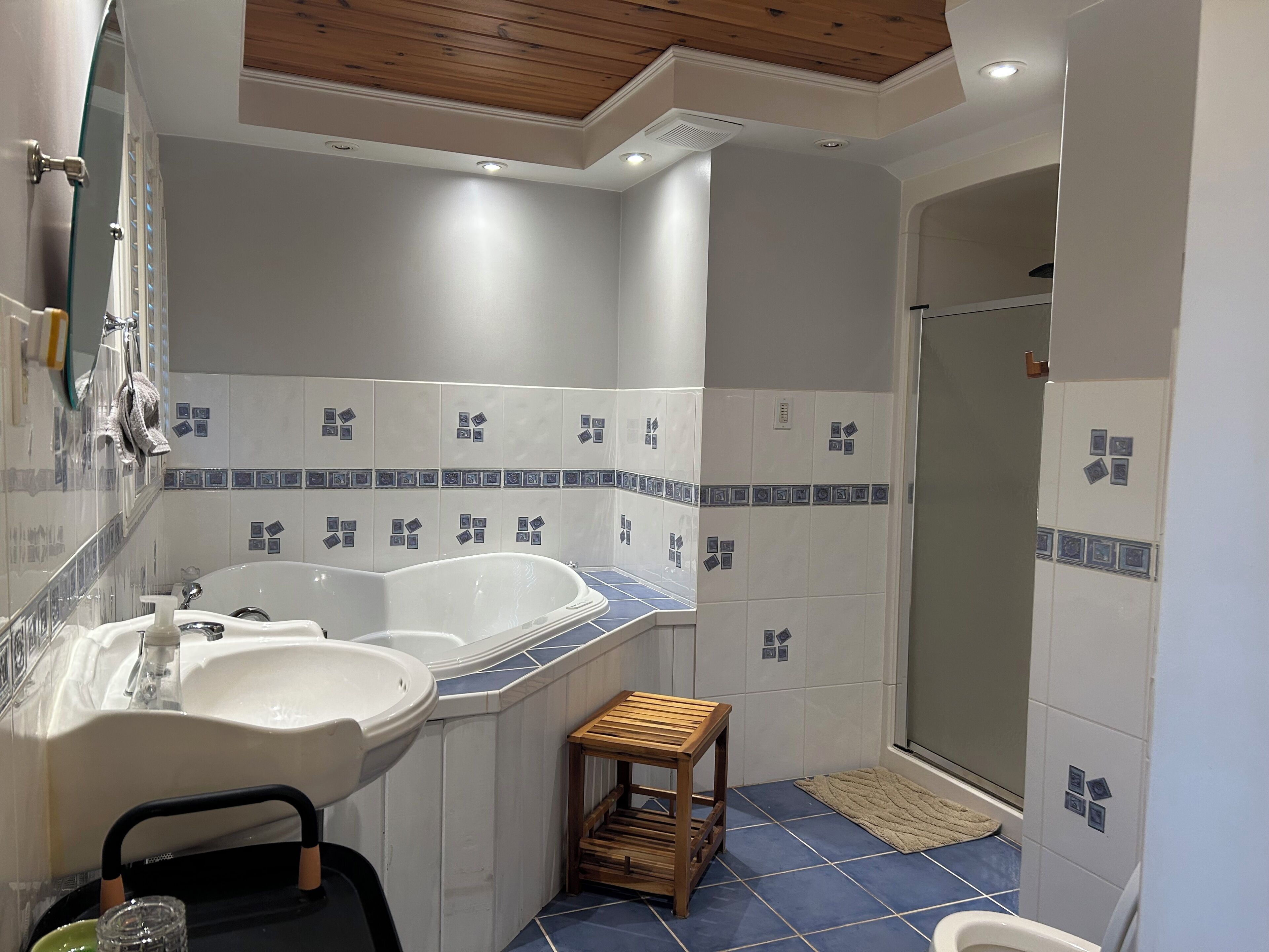 Shower, jetted tub, hair dryer, soap