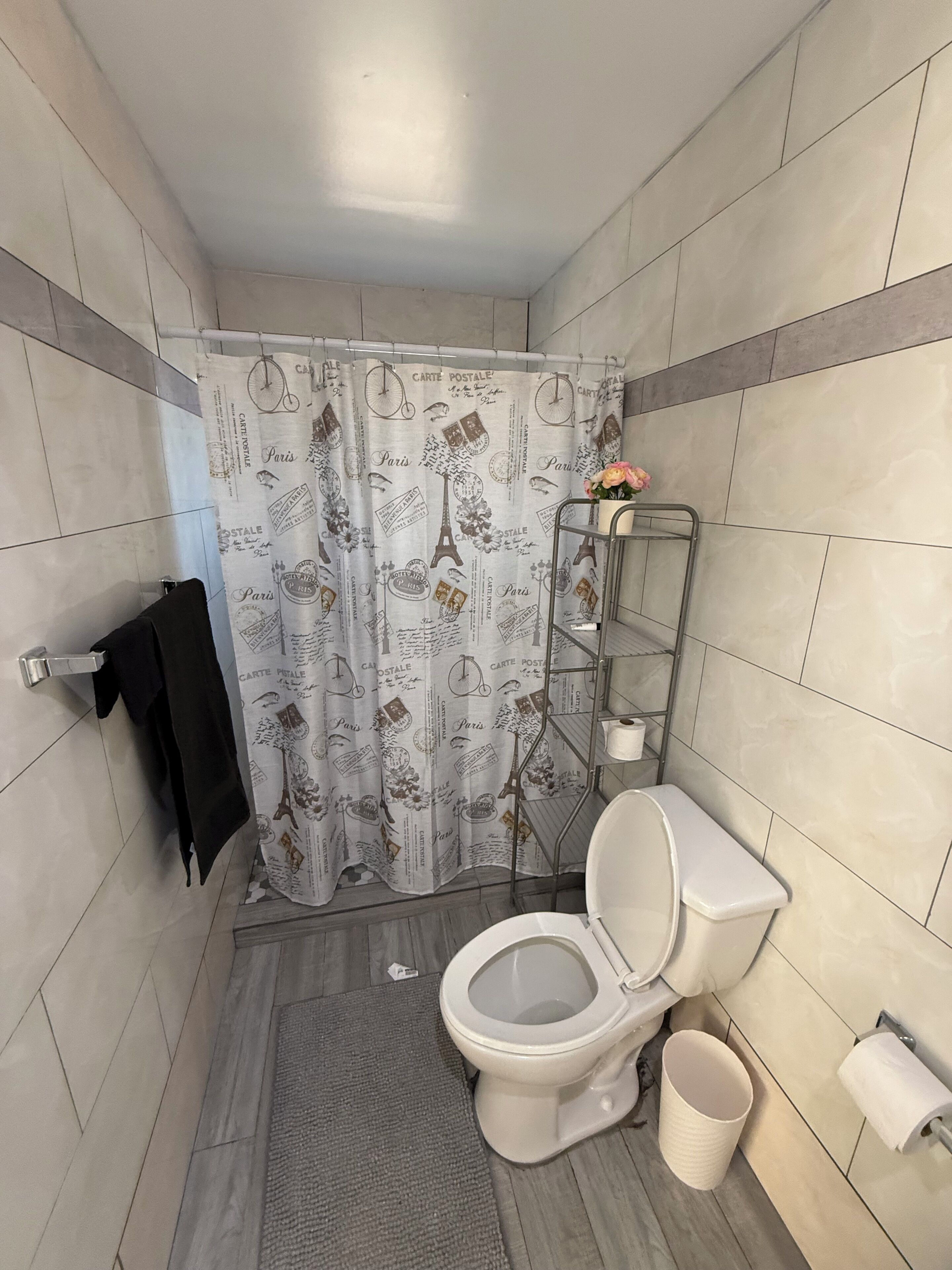 Shower, towels, soap, toilet paper