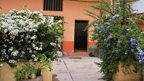 A courtyard with potted plants and a building entrance.