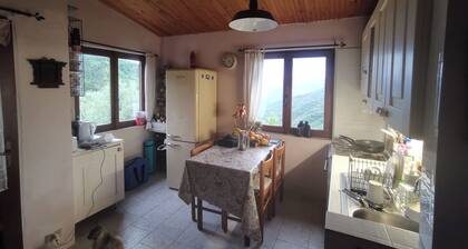 Berzi Bliss Cottage Retreat