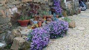 A stone wall with potted plants and a motorcycle parked nearby. - Cozy Cottage Retreat in Berzi (Berzi)
