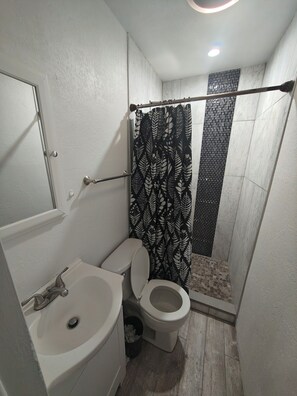 Bathroom - Welcoming 1-bedroom studio with AC in charming Lakewood (Lakewood)