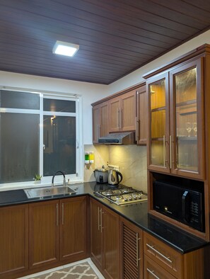 舒適公寓, 露台, 山景 | 私人  廚房