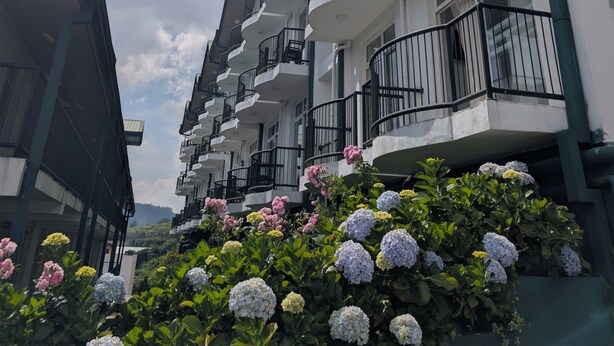A multi-story hotel with balconies, a garden with hydrangeas, and a clear sky. - The Lakeside Stay (Nuwara Eliya)
