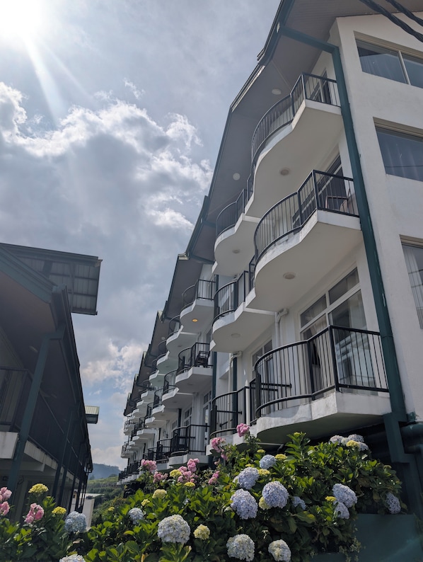 A multi-story hotel with balconies, a garden with hydrangeas, and a clear sky.
